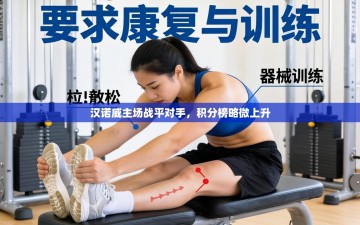 汉诺威主场战平对手，积分榜略微上升